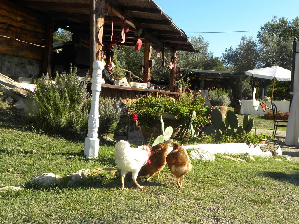 Country Resort Il Frassine Rignano sullʼArno Dış mekan fotoğraf